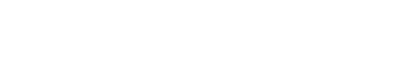 YLZ MEDIA